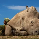 Travel Photographer of the Year: Αυτές οι φωτογραφίες ξεχώρισαν για το 2022
