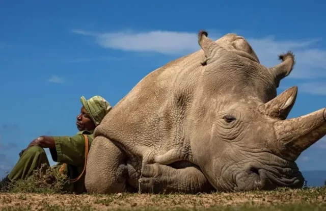 Travel Photographer of the Year: Αυτές οι φωτογραφίες ξεχώρισαν για το 2022