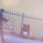 Νέα κρατική δολοφονία Αφροαμερικανού στις ΗΠΑ: Αστυνομικοί πυροβολούν άνδρα σε αναπηρικό αμαξίδιο