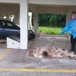 Εικόνες ντροπής στον Ωρωπό: Νοσηλευτές «έπλεναν» 70χρονη γυναίκα με λάστιχο σε πυλωτή