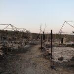 Δημιουργία παρατηρητηρίου της δίκης για τη φωτιά στη Μόρια, που αρχίζει στο Εφετείο Μυτιλήνης