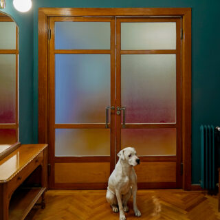 Στην οδό Χέυδεν, μέσα σε ένα διαμέρισμα με ποιητική ματιά και εντυπωσιακό design