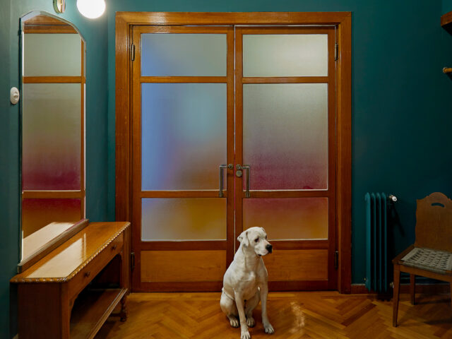 Στην οδό Χέυδεν, μέσα σε ένα διαμέρισμα με ποιητική ματιά και εντυπωσιακό design