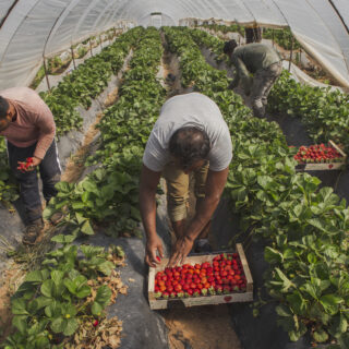 Νέος Κώδικας Μετανάστευσης: Δίοδος για την ένταξη ή τροχοπέδη για το καθεστώς διαμονής;