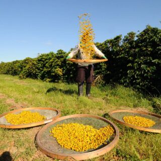 Κάθε Single Estate καφές σε ταξιδεύει σε όλο τον κόσμο χωρίς καν να επιβαρύνει το budget σου