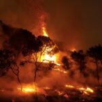 Διπλασιάστηκαν τα τελευταία 20 χρόνια οι δασικές πυρκαγιές σε συχνότητα και μέγεθος