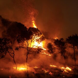 Δασικές πυρκαγιές: Πόσο προετοιμασμένοι είμαστε μετά τα ζοφερά «ρεκόρ» του ’23