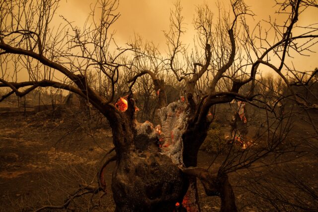 Πολύ υψηλός κίνδυνος πυρκαγιάς αύριο σε Αττική, Στερεά Ελλάδα και Πελοπόννησο