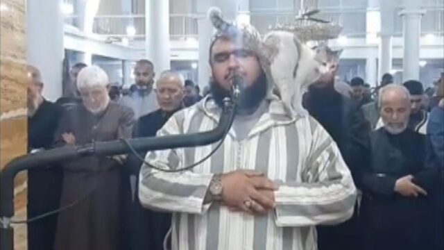 Γάτα πήδηξε πάνω σε ιμάμη την ώρα που προσευχόταν και έγινε… viral [ΒΙΝΤΕΟ]