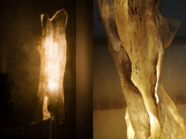 Στην έκθεση «Ιχνηλασία φωτός» γλυπτά από τη φύση φωτίζουν τις αισθήσεις