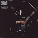 «The Whole Of The Moon»: Το νόημα και η ιστορία του πιο εμβληματικού τραγουδιού των Waterboys