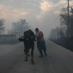 Βόλος: Εισαγγελική έρευνα για τις καταστροφικές φωτιές στη Μαγνησία