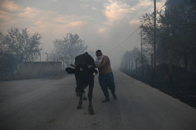 Βόλος: Εισαγγελική έρευνα για τις καταστροφικές φωτιές στη Μαγνησία