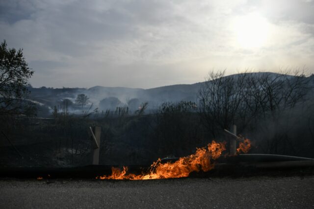 Πολύ υψηλός κίνδυνος πυρκαγιάς σήμερα για 4 περιφέρειες
