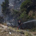 Πυρκαγιά στη Φθιώτιδα: Υπέκυψε ο 67χρονος μελισσοκόμος που προσπάθησε να σώσει τα μελίσσια του