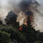 Φωτιά καίει δάσος στις Ερυθρές Αττικής