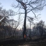 Πολύ υψηλός κίνδυνος πυρκαγιάς το Σάββατο σε έξι περιφέρειες της χώρας