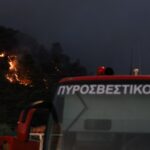 Πυρκαγιά στο Ακόντιο Λιβαδειάς