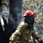 Φωτιά ξέσπασε στην Κύμη Ευβοίας