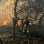 Αγρίνιο: Φωτιά σε δάσος στην περιοχή Αστακός