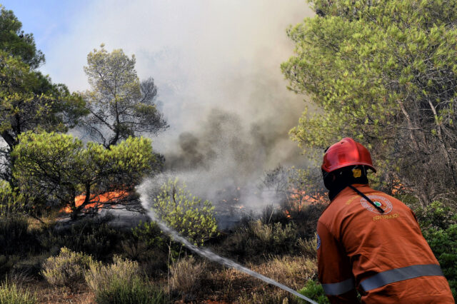Πυρκαγιά ξέσπασε στον Μαχαιρά Αιτωλοακαρνανίας
