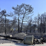 «Θα γίνουμε Ντουμπάι»: Προειδοποίηση Λέκκα για «κατάρρευση του περιβαλλοντικού συστήματος» της Αττικής λόγω πυρκαγιών