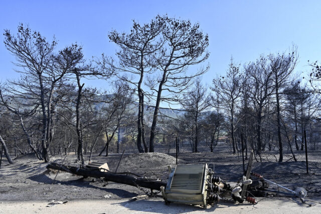 «Θα γίνουμε Ντουμπάι»: Προειδοποίηση Λέκκα για «κατάρρευση του περιβαλλοντικού συστήματος» της Αττικής λόγω πυρκαγιών