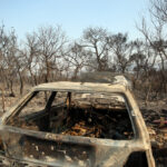 Άνοιξε η πλατφόρμα για τους πληγέντες από τις φωτιές