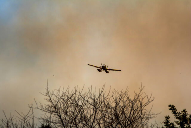 Υπό μερικό έλεγχο η πυρκαγιά στην Τανάγρα Βοιωτίας