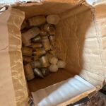 Εκρηκτικά και όπλα βρέθηκαν στο σπίτι του 61χρονου που κατηγορείται για την εμπρηστική επίθεση στην Τεκτονική Στοά