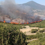 Βελτιωμένη εικόνα στα πύρινα μέτωπα σε Μαγνησία, Ρόδο, Λαμία, Κέρκυρα και Κάρυστο