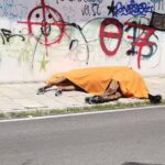 Παρέμβαση του Αρείου Πάγου για τον θάνατο του αλόγου στην Κέρκυρα