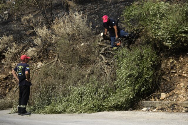 Πολύ υψηλός κίνδυνος πυρκαγιάς το Σάββατο για έξι περιφέρειες της χώρας