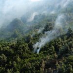 Πυρκαγιές: Οι περισσότερες καμένες εκτάσεις των τελευταίων 13 ετών καταγράφηκαν στα τέλη του φετινού Ιουλίου