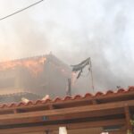 Φωτιά στον Κουβαρά: Κάηκε το καταφύγιο Fazoo Farm – Γλίτωσαν ελάχιστα ζώα