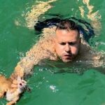 Σαλαμίνα: Μέλος πληρώματος πλοίου βούτηξε στη θάλασσα για να σώσει γατάκι [ΒΙΝΤΕΟ]