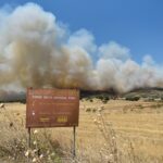 Πλησιάζει το δάσος της Δαδιάς η φωτιά, «χιονίζει» στάχτη στο κέντρο της Αλεξανδρούπολης