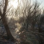 Περισσότερα από 400.000 στρέμματα κάηκαν μέσα σε τρεις ημέρες στην Ελλάδα