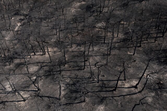 New York Times για Δαδιά: Οι 18 πρόσφυγες ρίσκαραν κι έχασαν τη ζωή τους για να αποφύγουν την επαναπροώθηση