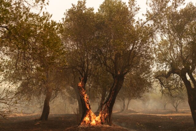 Αλεξανδρούπολη: Μήνυμα από το 112 για εκκένωση των περιοχών Κοίλα και Μελία