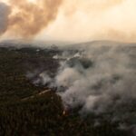 Διεθνής Αμνηστία: Οι νεκροί της πυρκαγιάς στον Έβρο είναι θύματα δύο τεράστιων αδικιών της εποχής μας