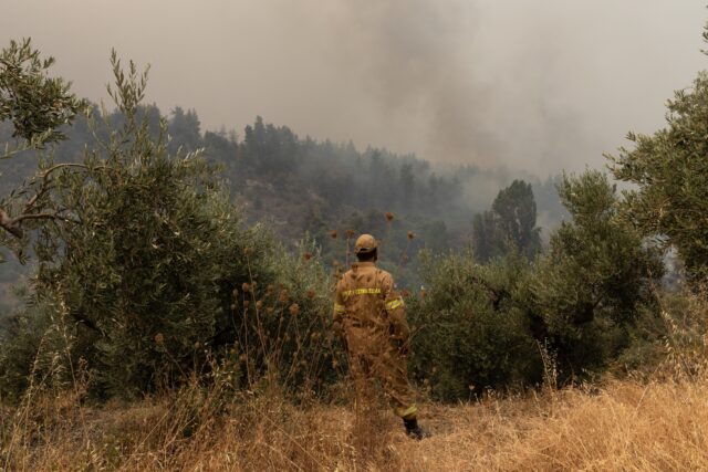 Ζάκυνθος: Δασική πυρκαγιά στην περιοχή Καταστάρι
