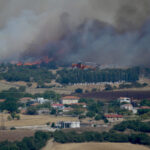 Φωτιά στην Αλεξανδρούπολη: Κάηκαν ζώα, καλλιέργειες και κυψέλες