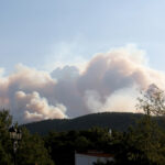 Τραγωδία στον Έβρο: Στους 26 οι νεκροί στο δάσος της Δαδιάς – Εντοπίστηκαν άλλες οκτώ απανθρακωμένες σοροί