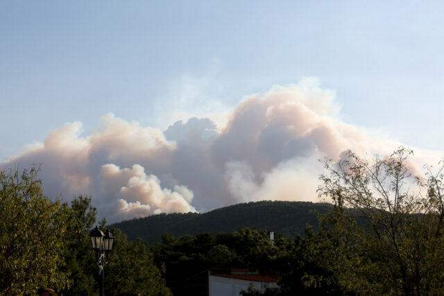 Τραγωδία στον Έβρο: Στους 26 οι νεκροί στο δάσος της Δαδιάς – Εντοπίστηκαν άλλες οκτώ απανθρακωμένες σοροί