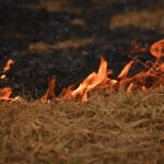 Πυρκαγιά στην περιοχή Αντιμάχεια της Κω [ΒΙΝΤΕΟ]