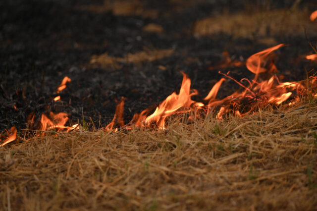 Υπό έλεγχο η πυρκαγιά στη Βαρυμπόμπη