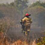 Σε εξέλιξη φωτιά στα Καλάβρυτα