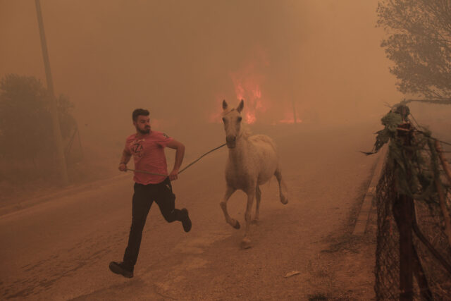 Εκτός ελέγχου η φωτιά στη Φυλή: Εκκενώνονται και τα Άνω Λιόσια – Μήνυμα σε Γεννηματά, Κανάλα