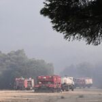 Μεγάλη φωτιά στη Περιφερειακή οδό Τρικάλων-Λάρισας – Μήνυμα του 112